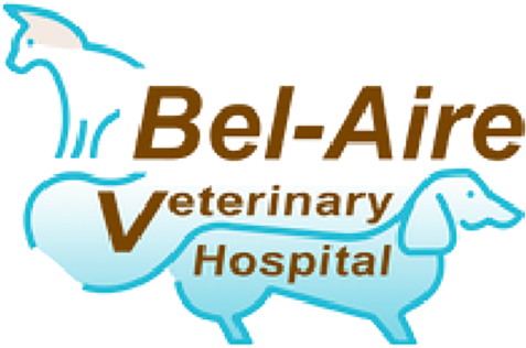 Bel-airevet Veterinary Hospital