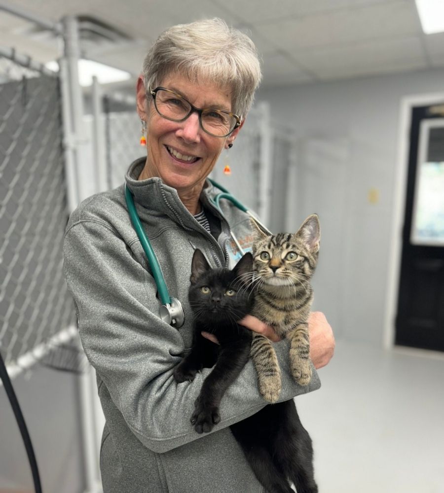 A woman gently holds two kitten