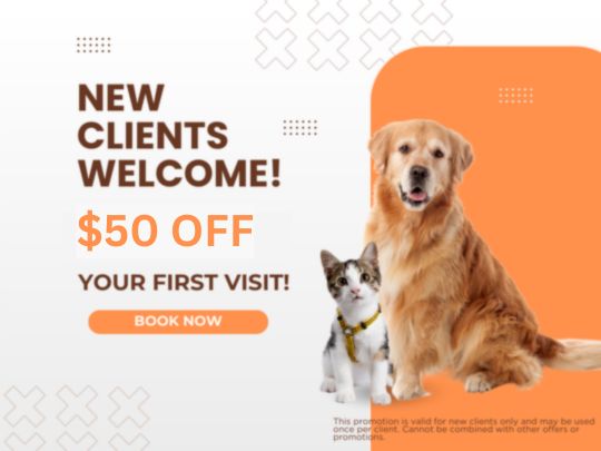 50 OFF Graphics NCP 50 OFF Graphics NCP