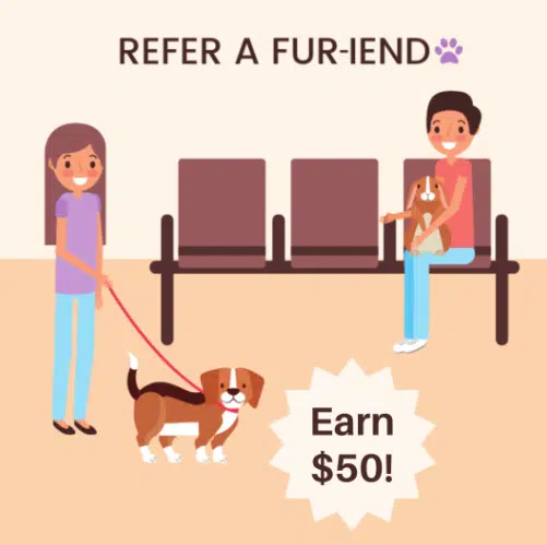 50 off Refer a fur-iend graphics 50 off Refer a fur-iend graphics